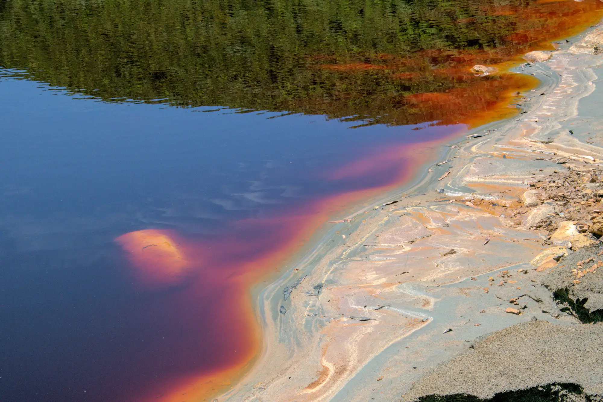 Still dark water against a pale shore, its margin stained a deep ochre and orange